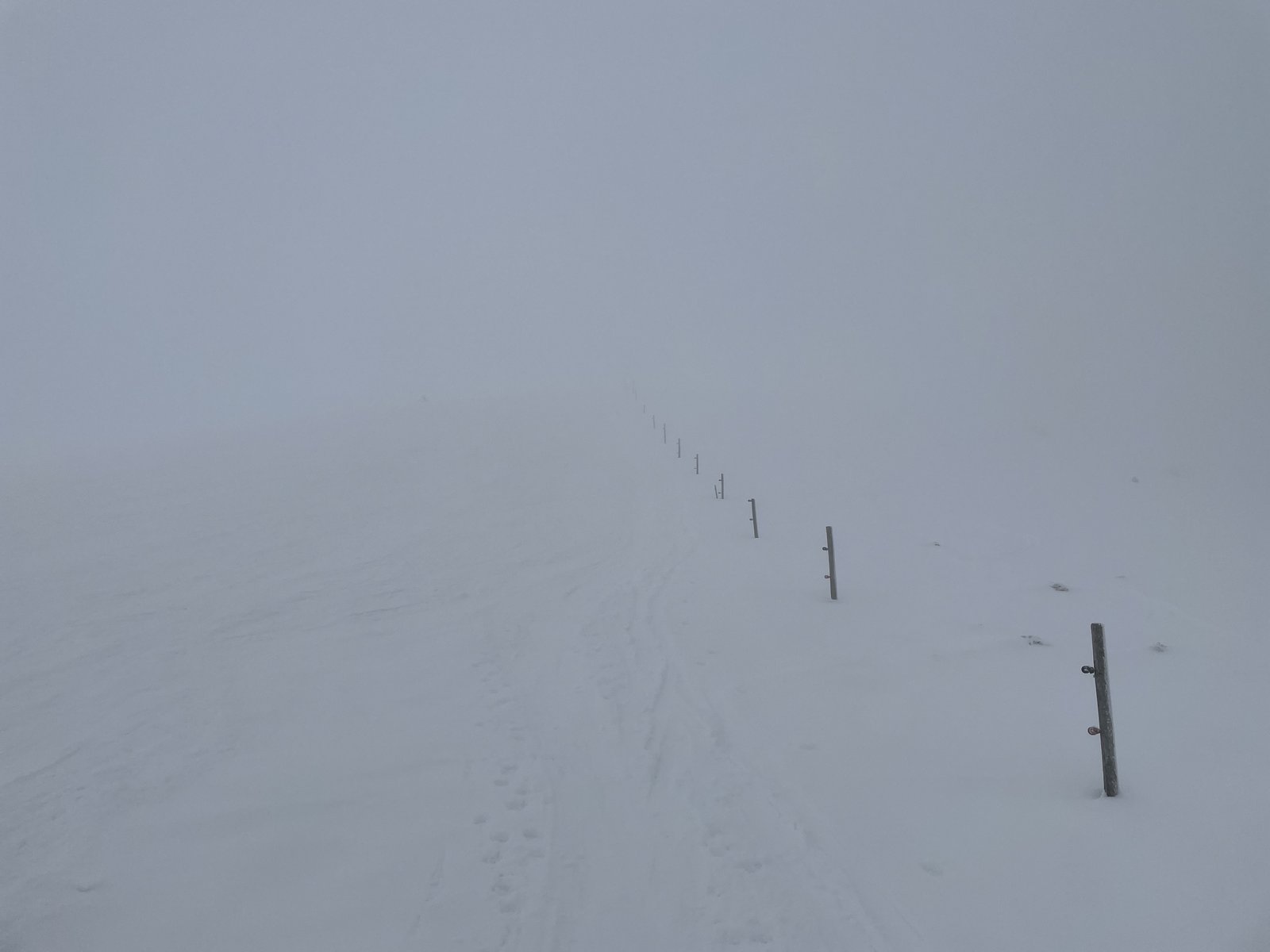 „Panoramablick“ am Lärchkogel 2