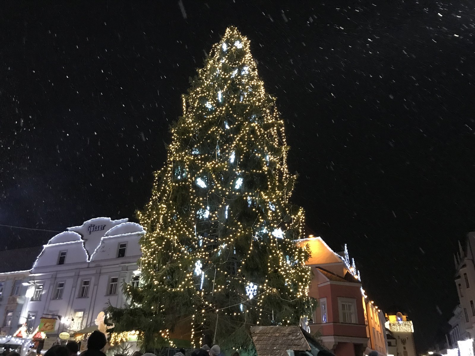 Leoben_Weihnachtsbaum