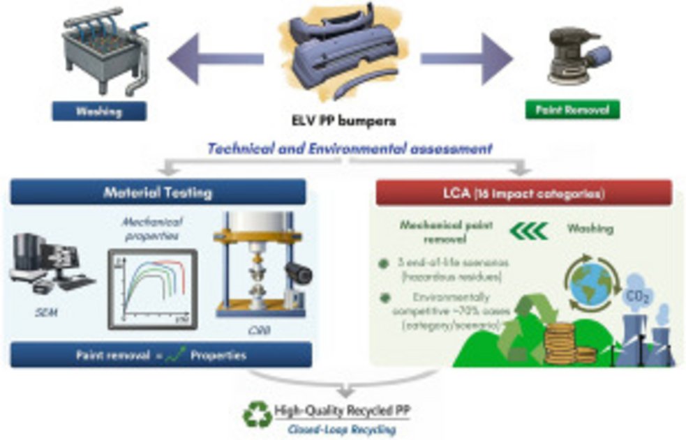 Fotocredit: Ana Puente-Santamaría et. al. Graphical_Abstract