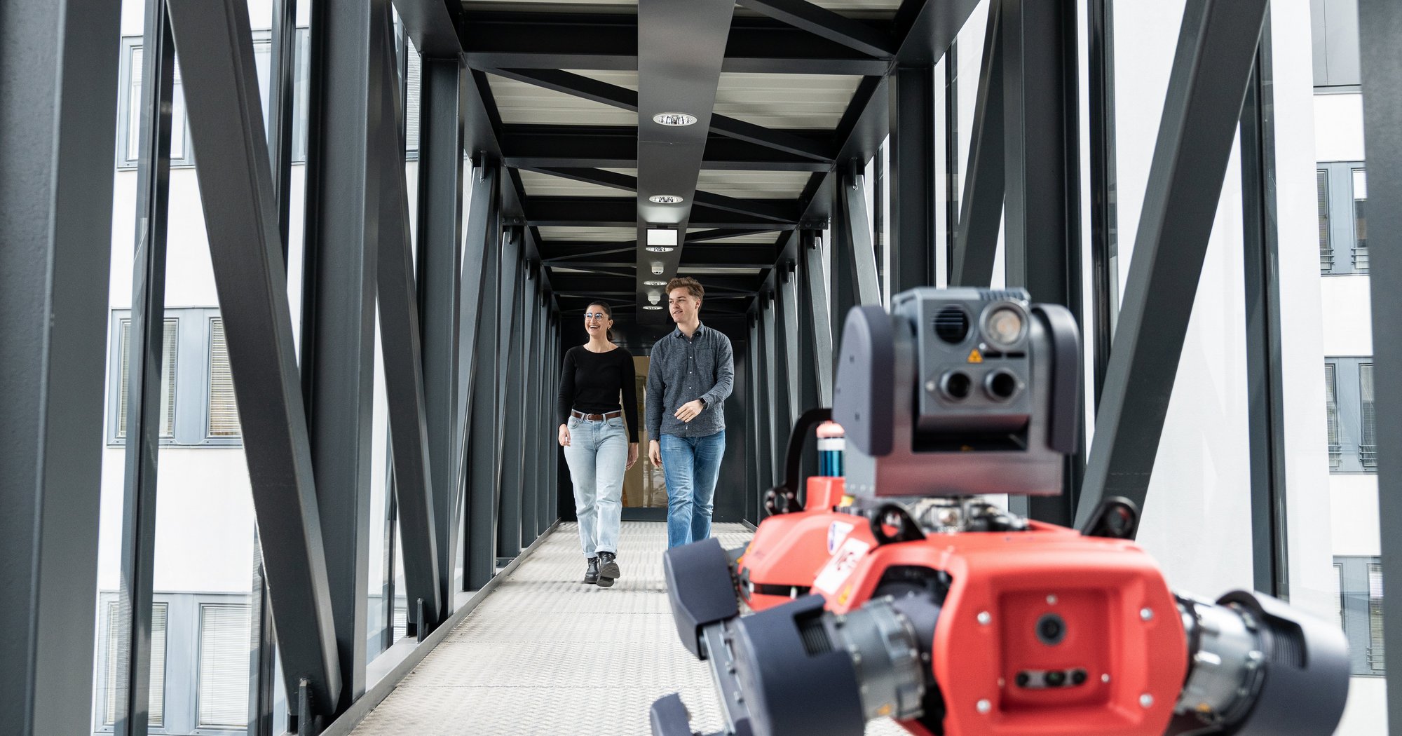 Steop Study entry phase STEOP at the Technical University of Leoben