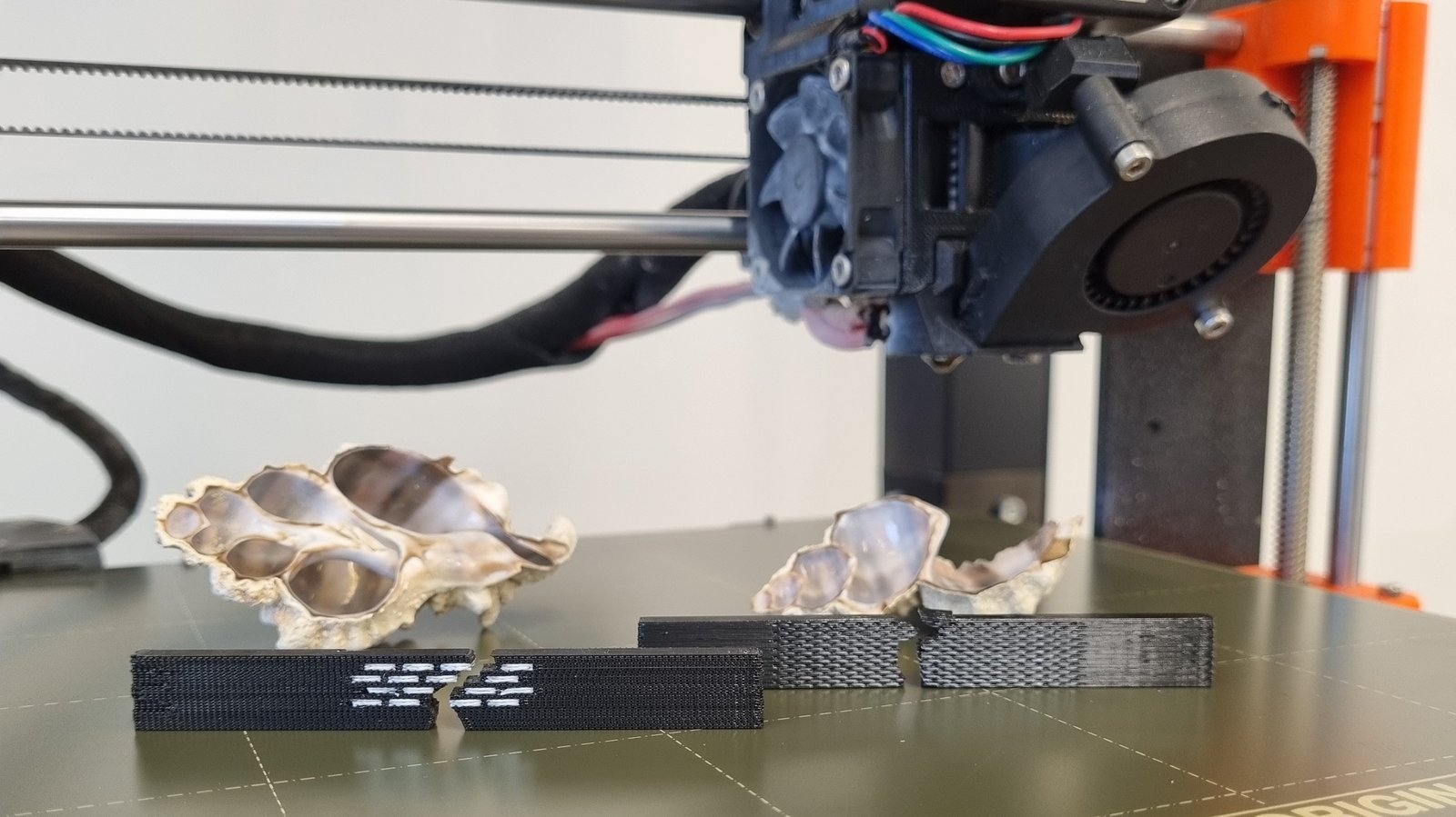 Im Labor untersucht Christop Waly mechanisches und bruchmechanisches Verhalten bei Prüfkörpern, um dieses anschließend auf strukturelle Bauteile umzulegen. bioinsp_3DDruck_2