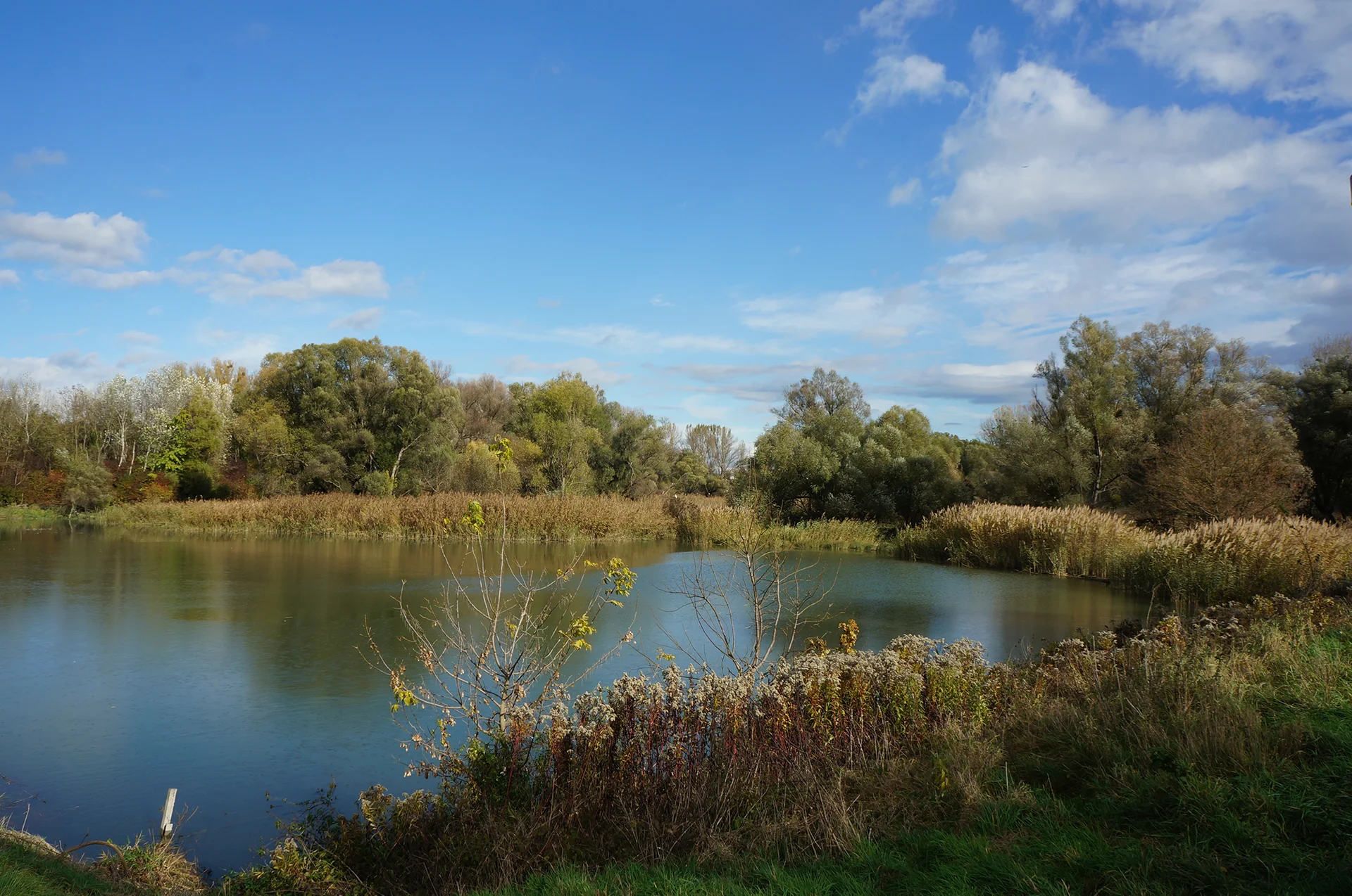 Zunehmende Extremwetterereignisse gefährden die Wasserqualität von Wasserressourcen in Schwemmlandgebieten. (c) A. P. Blaschke Landschaft, die einen Fluss zeigt, neben dem Bäume und Sträucher wachsen.