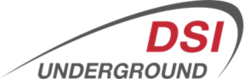 dsi underground logo dsi underground logo