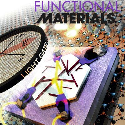 Wiedergabe des Covers der Zeitschrift Advanced Functional Materials
