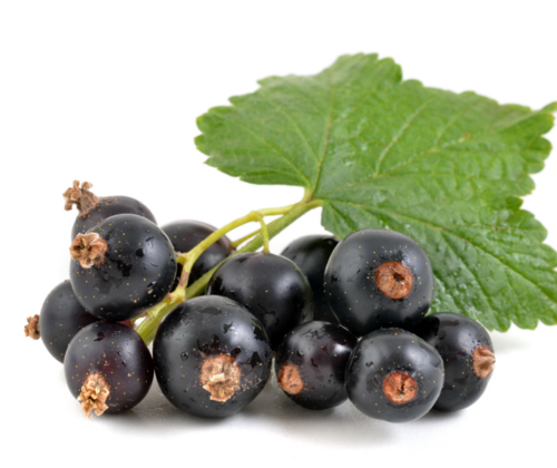 Entalten_sogar_mehr_Vitamin_C_als_Gojibeeren