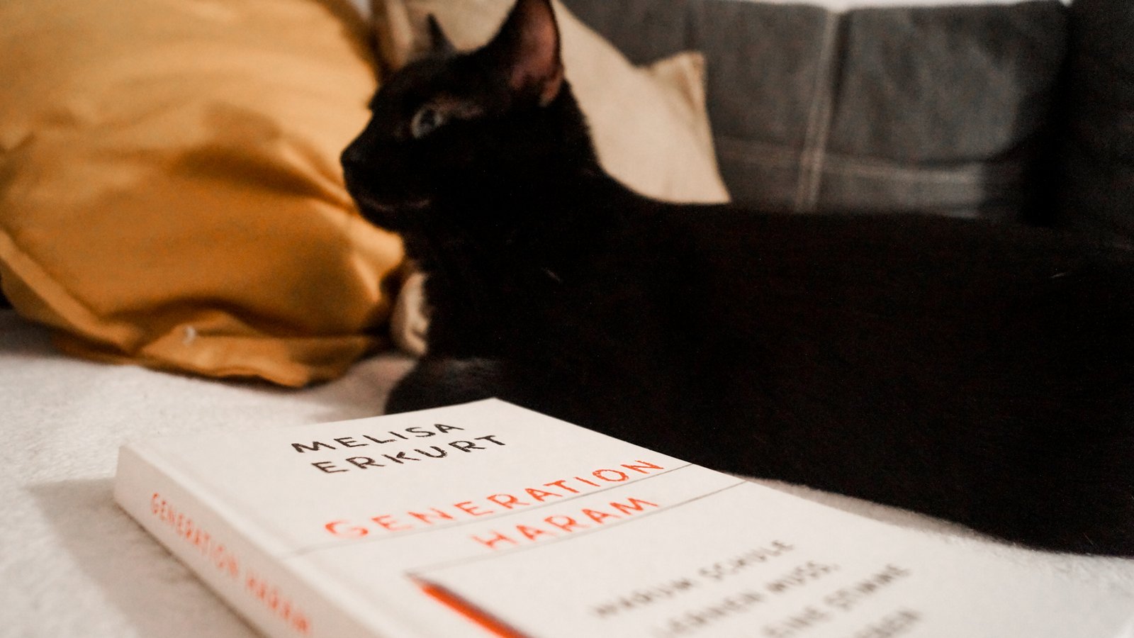 Generation Haram und Gerti Melisa_Erkurt