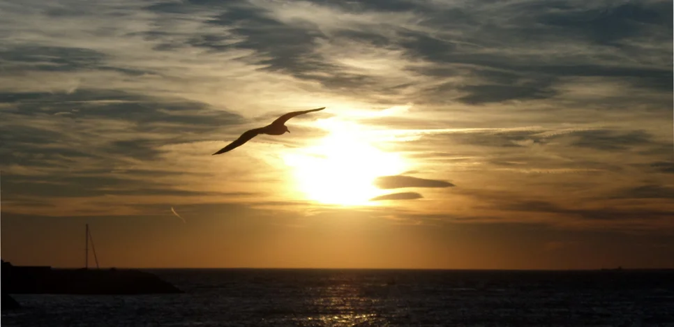 Marseilles, France, 2013 | Photograph: L. Spiegelhofer
