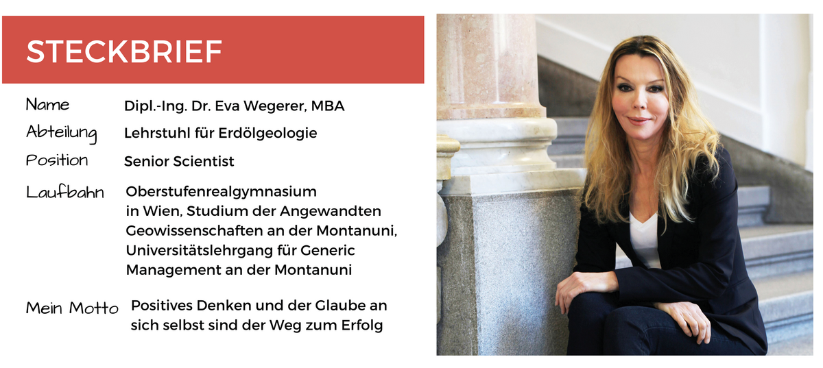 STECKBRIEF_wegerer
