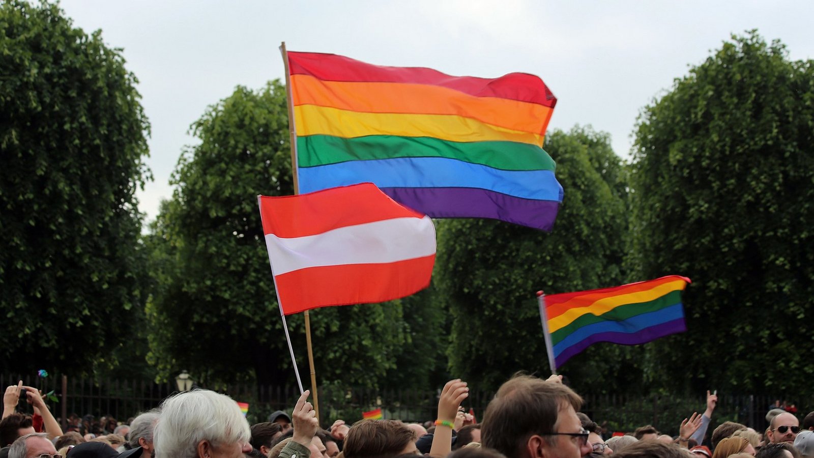 LGBTQ+ and Austrian flag at a Conchita Wurst concert in 2014
Copyright: Manfred Werner (Tsui), CC BY-SA 3.0 <https://creativecommons.org/licenses/by-sa/3.0>, via Wikimedia Commons 2048px-Conchita_Wurst_Ballhausplatz_18-05-2014_04