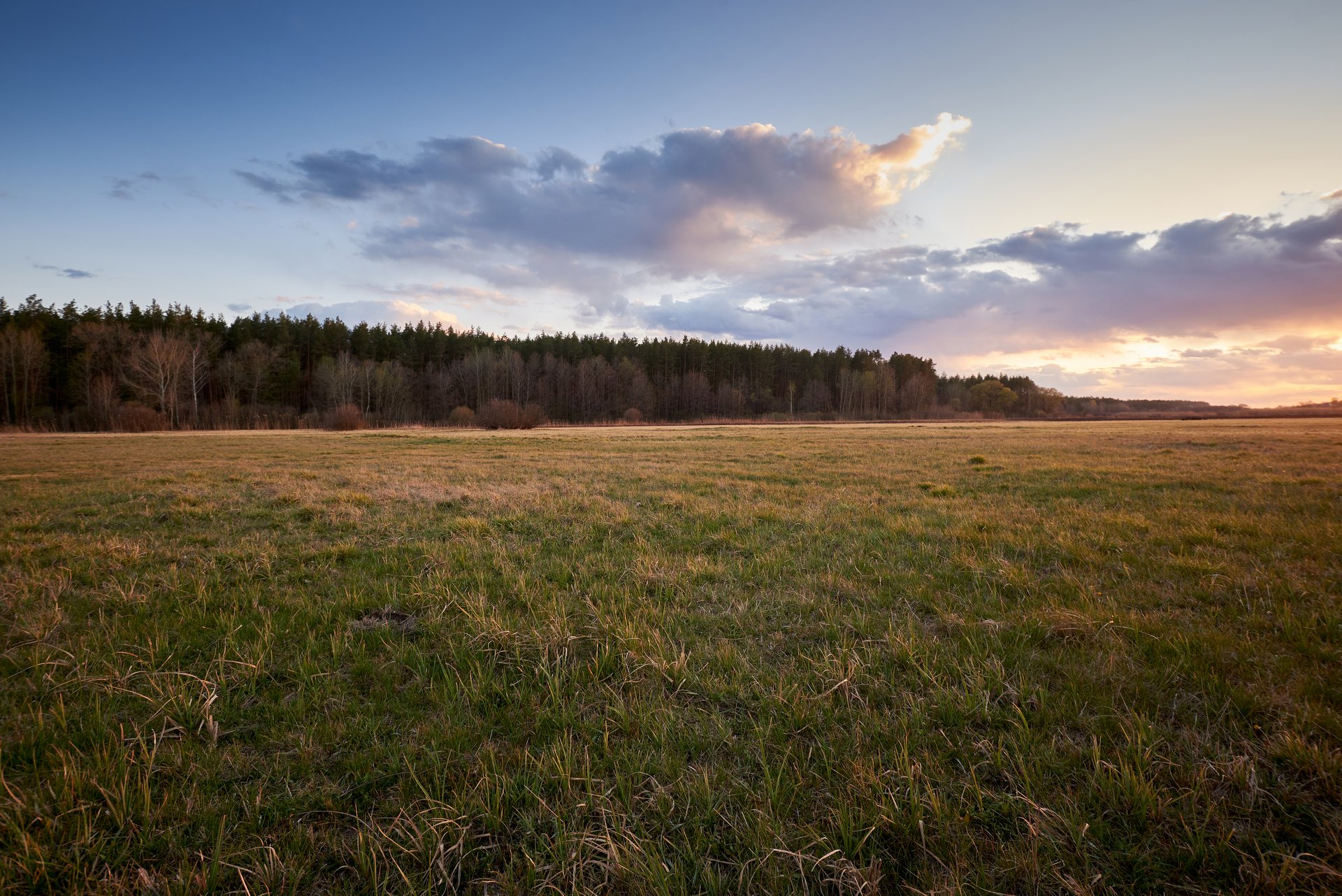 Foto: © Envato/PedaltotheStock