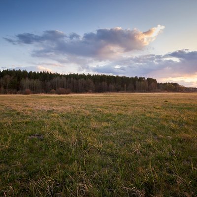 Foto: © Envato/PedaltotheStock