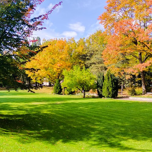 Stadtpark in Leoben.
