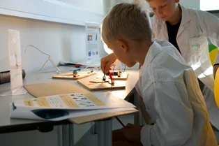 Zwei Buben experimentieren mit Strom