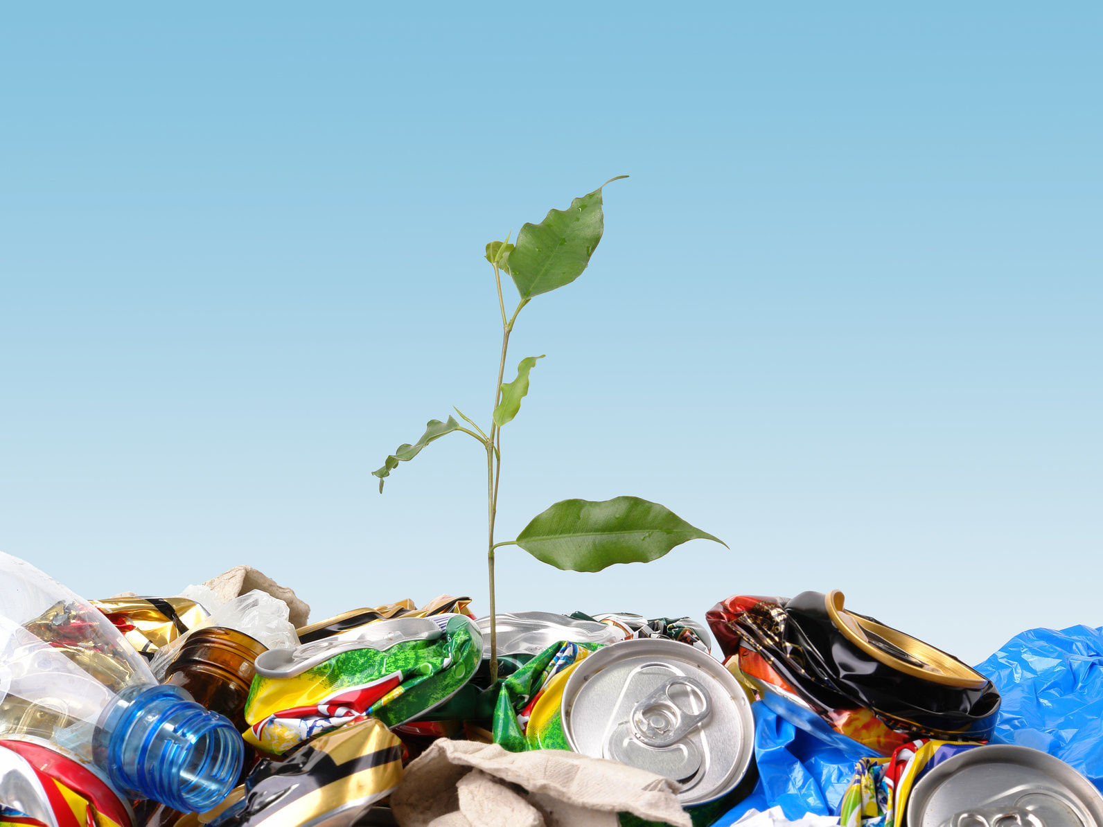 Foto: © Fotolia