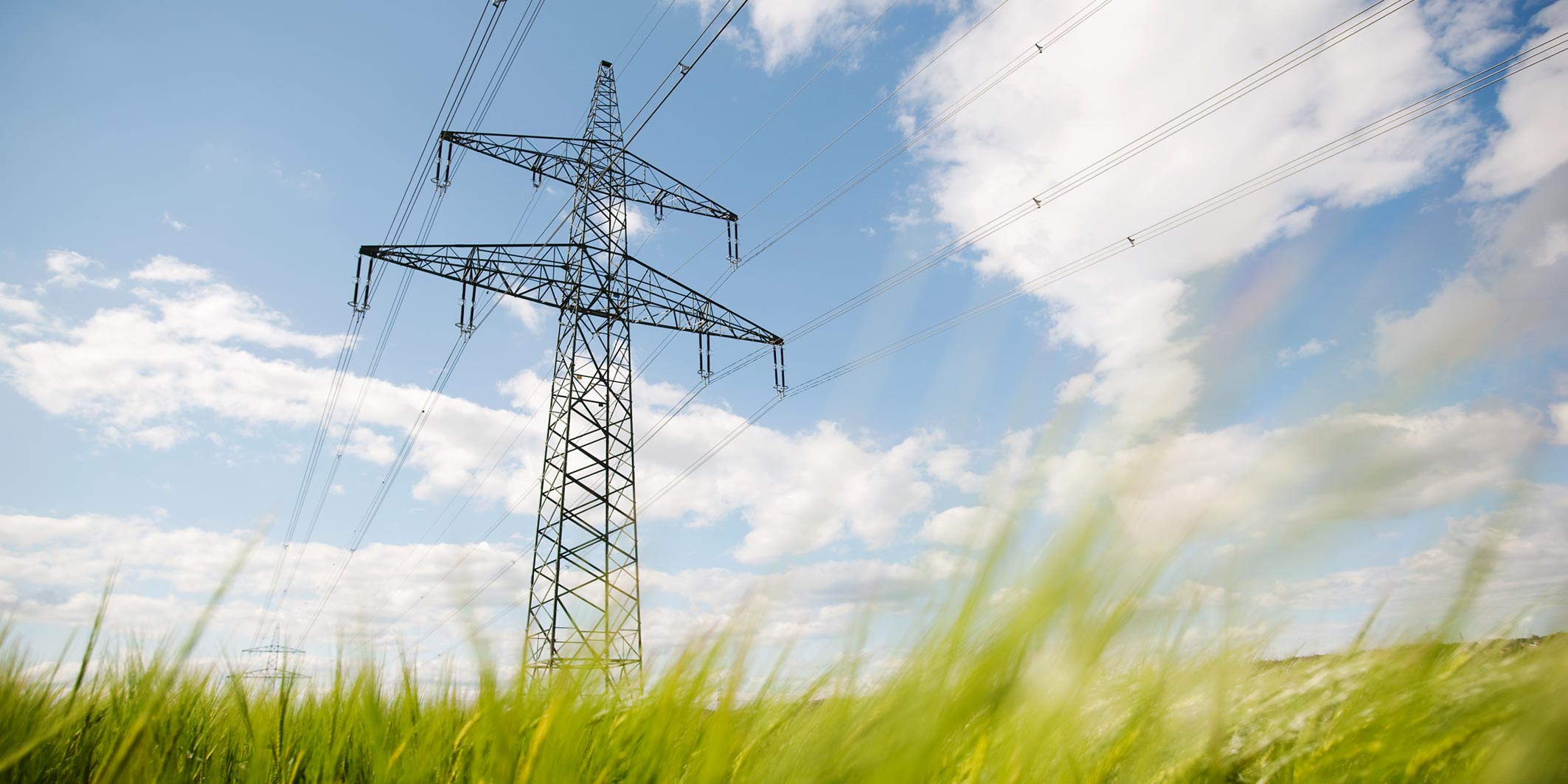 © Mosdorfer Strommast auf grüner Wiese